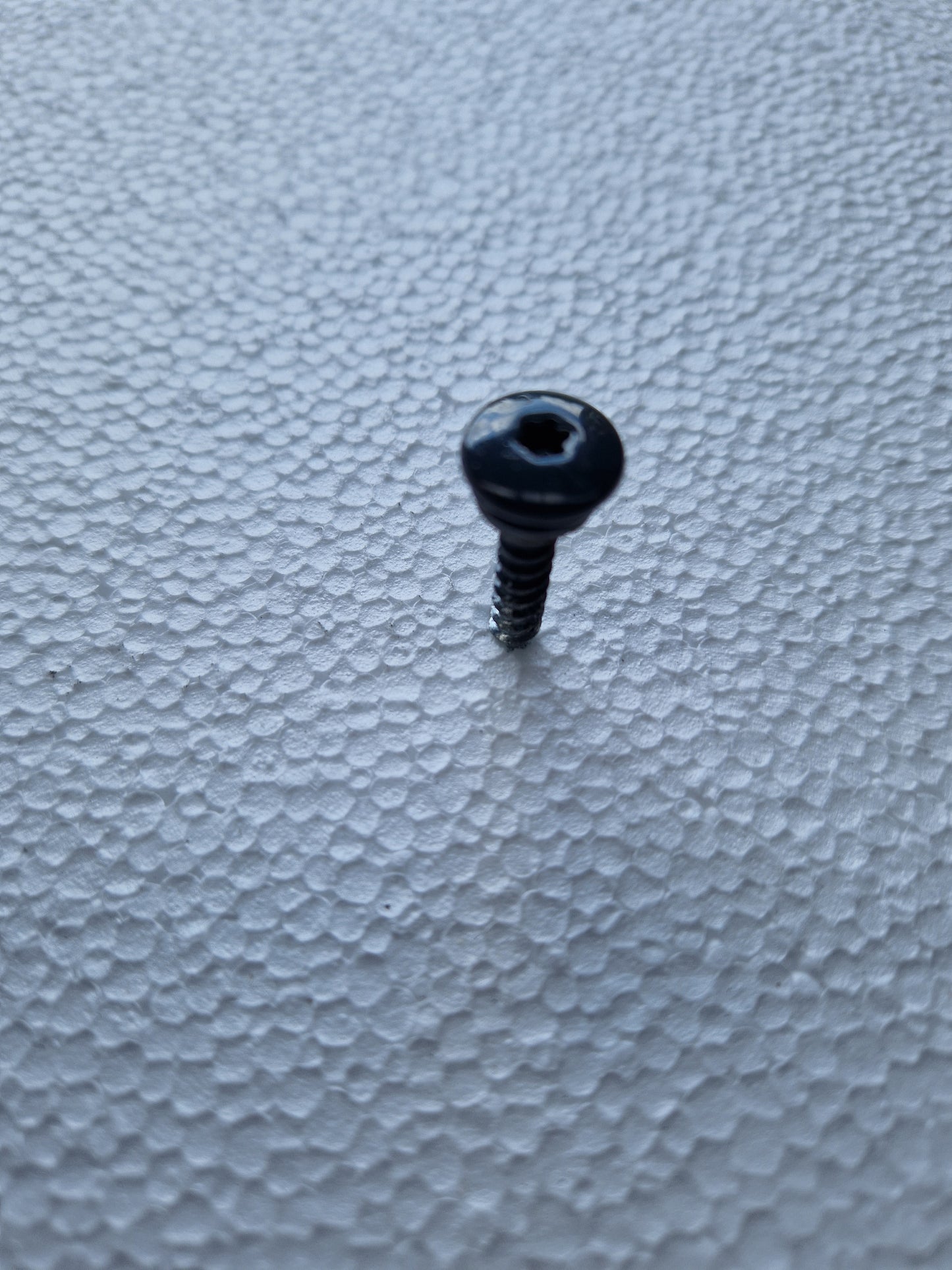 Lacquered screw 35mm torx