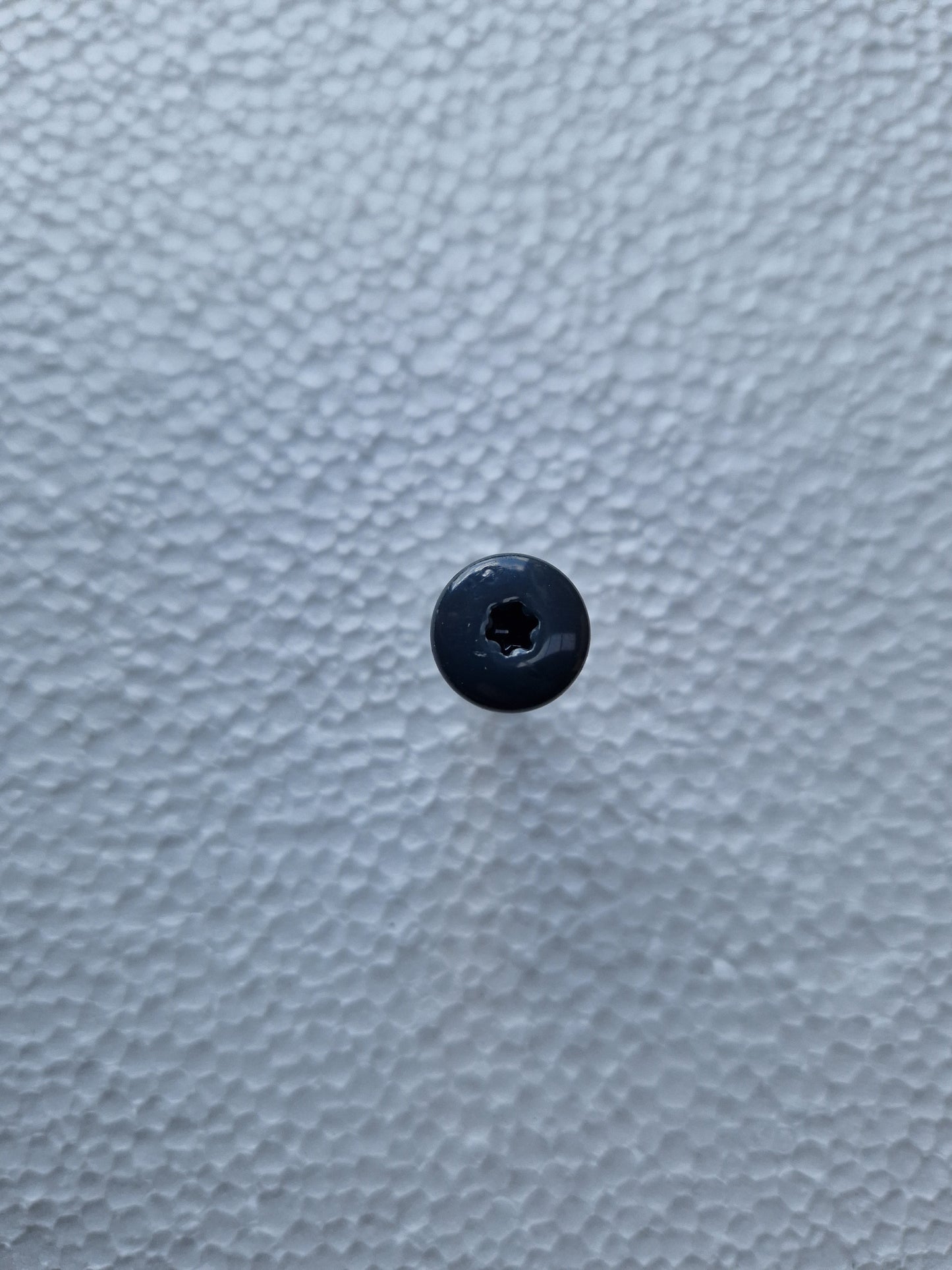 Lacquered screw 35mm torx