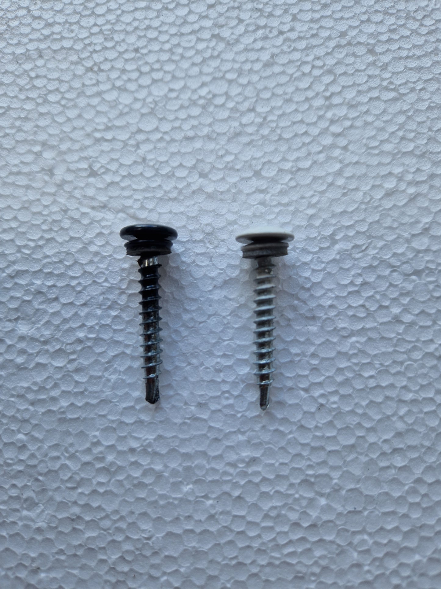 Lacquered screw 35mm torx