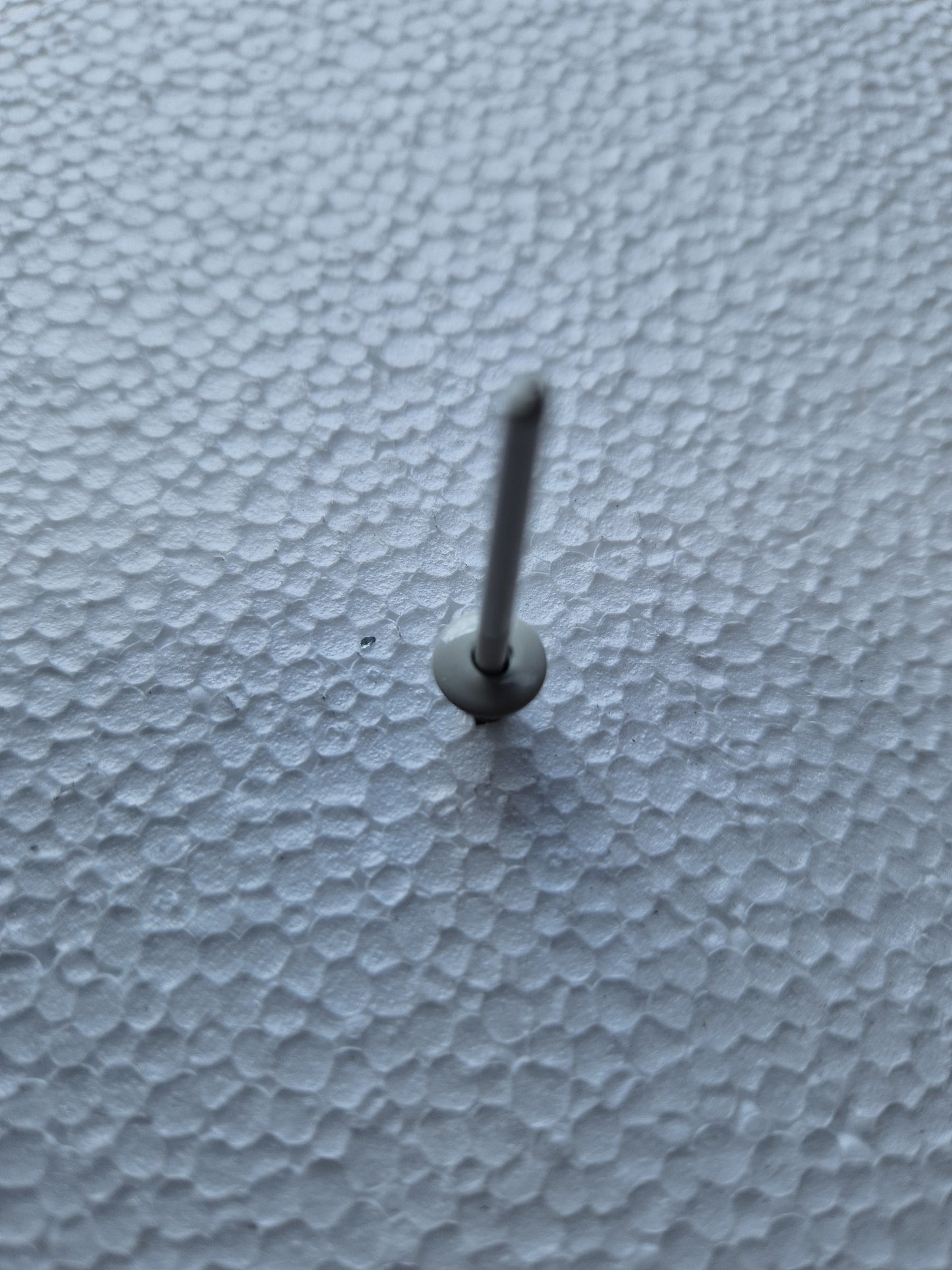 Lacquered pop rivets (rivets)