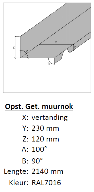 Opstaande getande muurnok